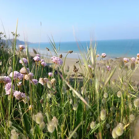 Les Falaises, En Plein Coeur De * ビニック